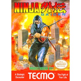 Ninja Gaiden Shadow Warriors