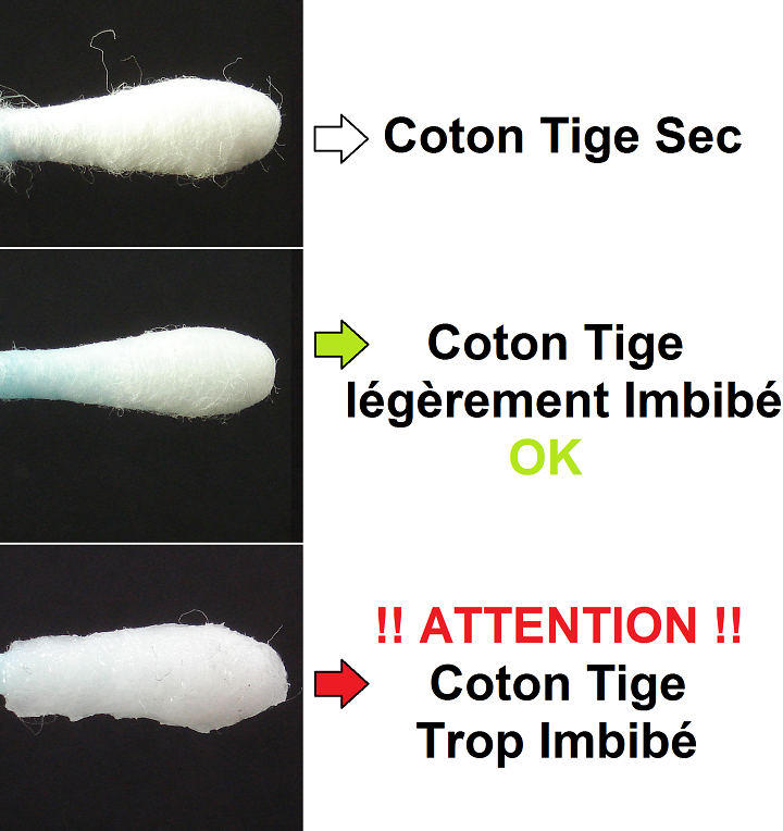 Coton Tige