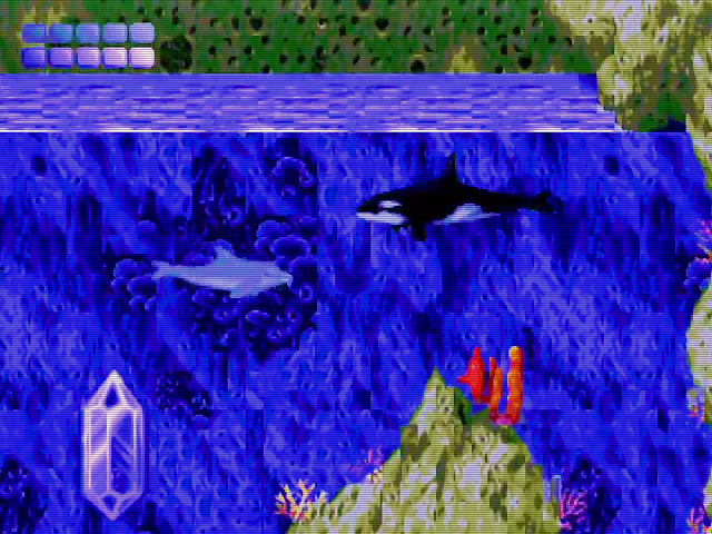 Ecco the Dolphin Img 02