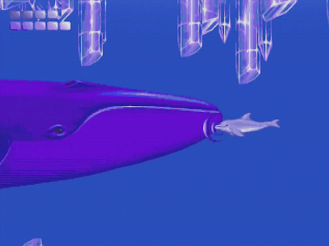 Ecco the Dolphin Img 03