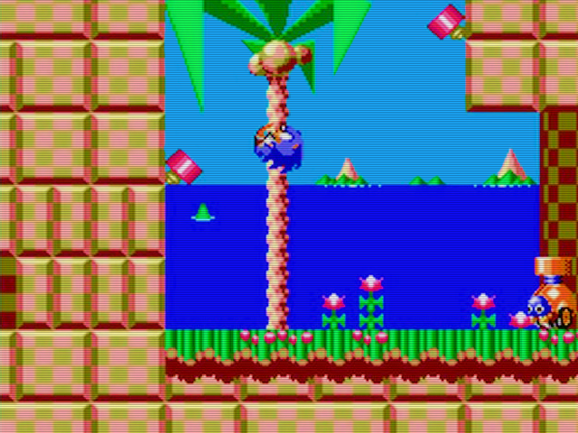 Sonic the Hedgehog Chaos Img 01